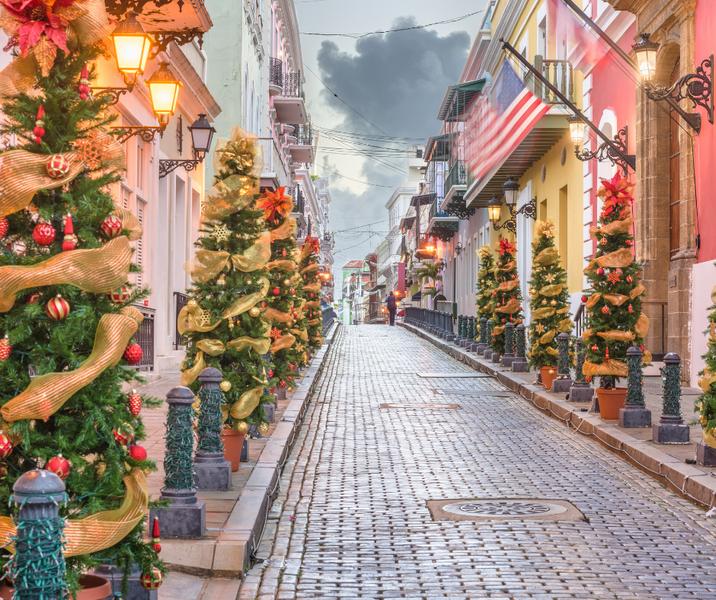 Navidad Boricua.. A Puerto Rican Christmas