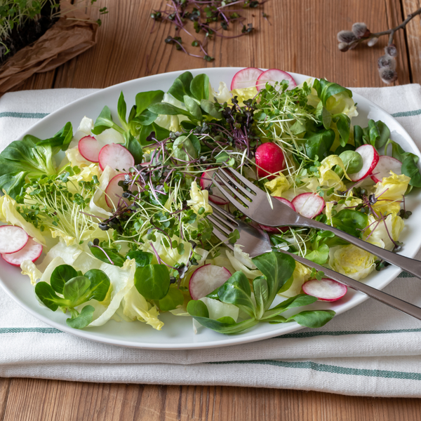 Springtime Salad with Garlicky Dressing